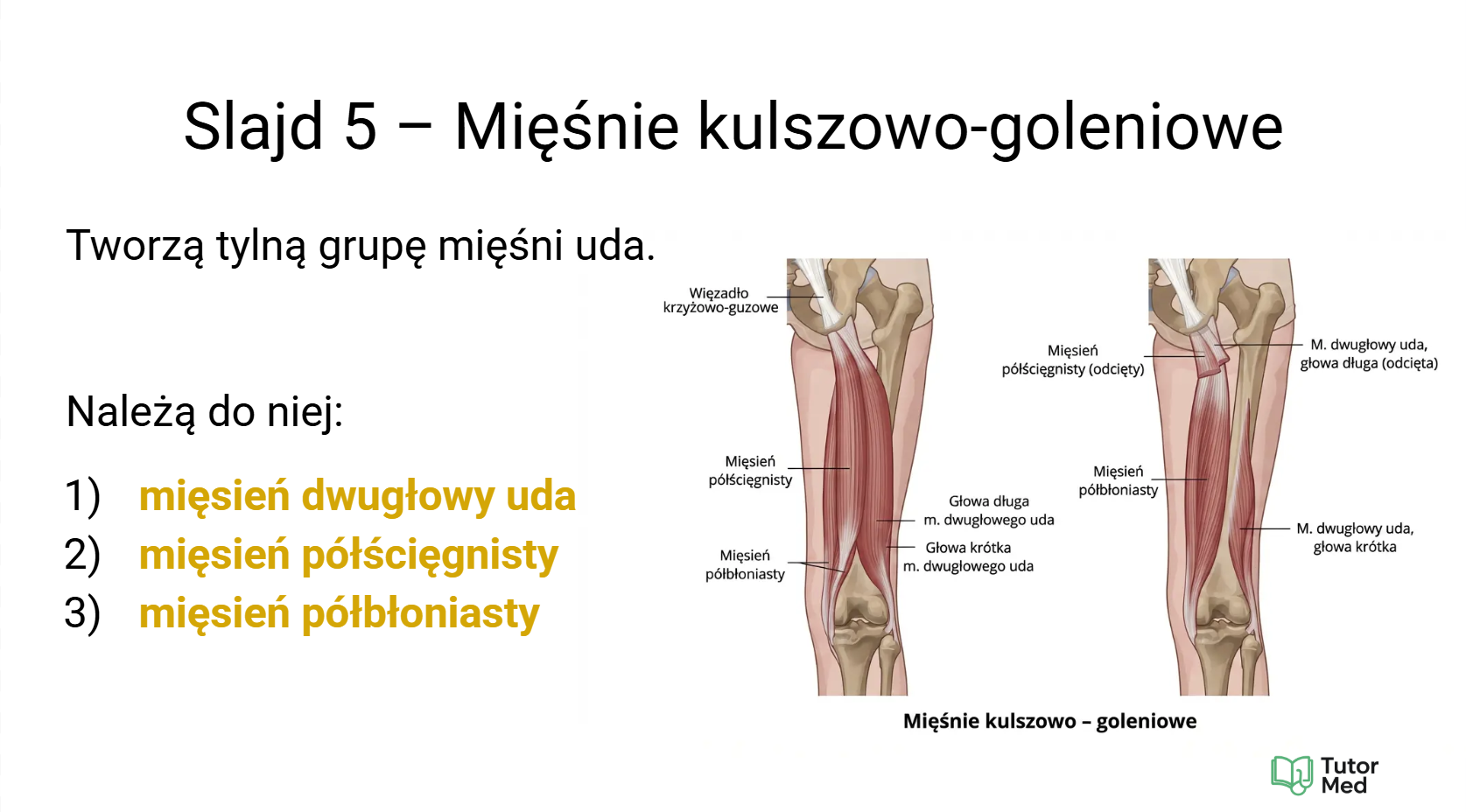 Przykładowy slajd MedCore Academy z przedmiotów medycznych 2