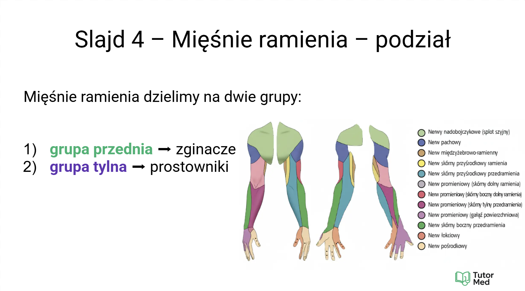 Przykładowy slajd MedCore Academy z przedmiotów medycznych 3