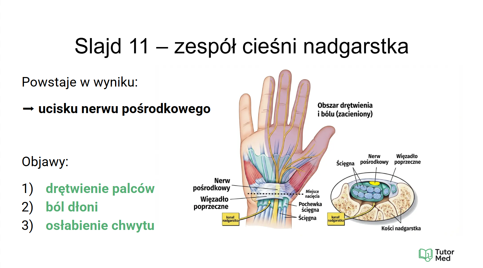 Przykładowy slajd MedCore Academy z przedmiotów medycznych 4