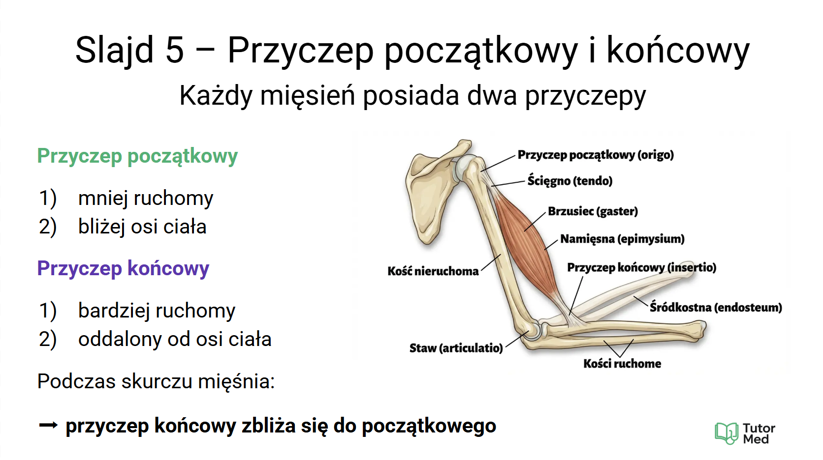 Przykładowy slajd MedCore Academy z przedmiotów medycznych 5