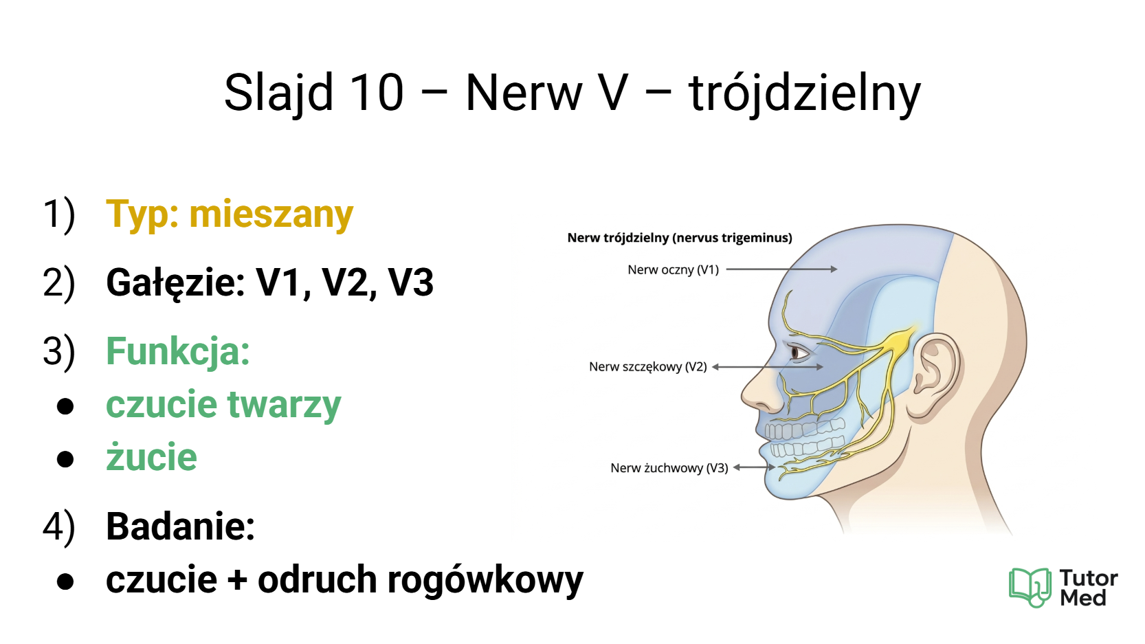 Przykładowy slajd MedCore Academy z przedmiotów medycznych 6