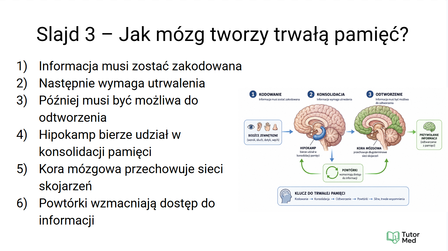Przykładowy slajd z darmowego kursu Medycyna Start - 4
